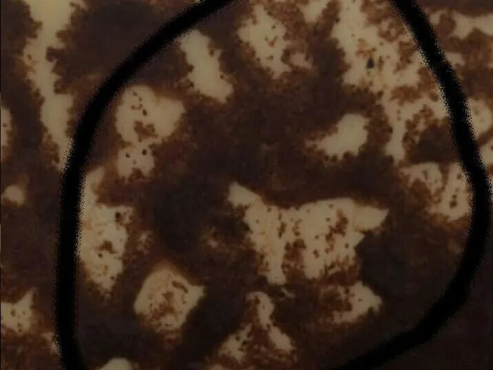 Запись на прием к гадалке Анне в Шелехове